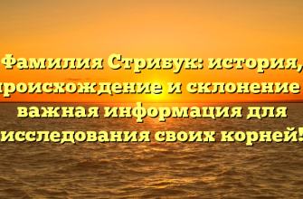 Фамилия Стрибук: история, происхождение и склонение – важная информация для исследования своих корней!