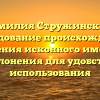 Фамилия Стружинский: исследование происхождения, значения исконного имени и склонения для удобства использования
