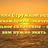 Фамилия Стружков: история происхождения, значения и правильное склонение — все, что вам нужно знать