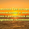 Фамилия Суб: история, происхождение и значение фамилии в различных языках с подробным склонением