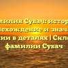 Фамилия Субач: история, происхождение и значение фамилии в деталях | Склонение фамилии Субач