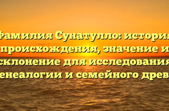 Фамилия Сунатулло: история происхождения, значение и склонение для исследования генеалогии и семейного древа