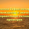 Фамилия Суфан: история, происхождение и значение, а также правильное склонение на примерах