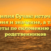 Фамилия Сучак: источник, история и значение, а также советы по склонению для родственников