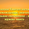 Фамилия Тангел: история происхождения, значения и правильное склонение – все, что нужно знать