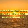 Фамилия Тенсин: история и значение, правила склонения и происхождение