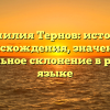 Фамилия Тернов: история происхождения, значения и правильное склонение в русском языке