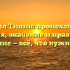 Фамилия Тинин: происхождение, история, значение и правильное склонение — всё, что нужно знать!