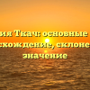 Фамилия Ткач: основные факты, происхождение, склонение и значение