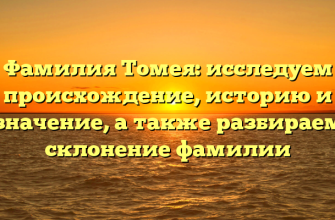 Фамилия Томея: исследуем происхождение, историю и значение, а также разбираем склонение фамилии