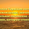 Фамилия Торжков: история происхождения, значение и правильное склонение – все о фамилии, которую стоит знать
