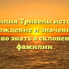 Фамилия Трибель: история, происхождение и значения — все, что нужно знать о склонении этой фамилии