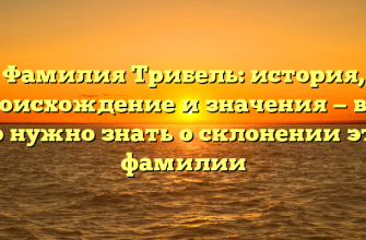 Фамилия Трибель: история, происхождение и значения — все, что нужно знать о склонении этой фамилии