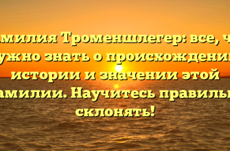 Фамилия Троменшлегер: все, что нужно знать о происхождении, истории и значении этой фамилии. Научитесь правильно склонять!