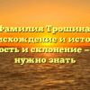 Фамилия Трошина: происхождение и история, значимость и склонение — все, что нужно знать