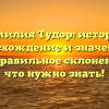 Фамилия Тудор: история, происхождение и значения, а также правильное склонение – всё, что нужно знать!