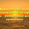 Фамилия Туйчиев: происхождение, история и значение – уникальные аспекты ее склонения