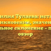 Фамилия Тулаева: история возникновения, значения и правильное склонение – полный обзор
