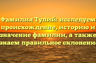 Фамилия Тупий: исследуем происхождение, историю и значение фамилии, а также узнаем правильное склонение.
