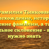 Фамилия Тынкован: происхождение, история и значение фамилии, а также правильное склонение – все, что нужно знать
