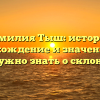 Фамилия Тыш: история, происхождение и значение, все, что нужно знать о склонении