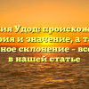Фамилия Удод: происхождение, история и значение, а также правильное склонение – все ответы в нашей статье