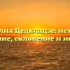 Фамилия Цецхладзе: истоки и значение, склонение и история