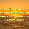 Фамилия Цикунов: история происхождения, значение и подробное склонение — всё, что нужно знать