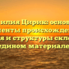 Фамилия Цирик: основные моменты происхождения, значения и структуры склонения в едином материале.