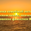Хроника семейной истории: происхождение, значение и склонение фамилии Вите