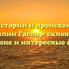 Все об истории и происхождении фамилии Гаспар: склонение, значение и интересные факты