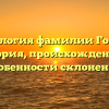 Генеалогия фамилии Горини: история, происхождение и особенности склонения