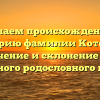 Изучаем происхождение и историю фамилии Котенко: значение и склонение для успешного родословного поиска