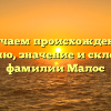 Изучаем происхождение, историю, значение и склонение фамилии Малос