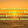 Изучаем происхождение, историю и значение фамилии Мурник: основные факты и склонение в современном языке