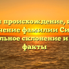 Изучаем происхождение, историю и значение фамилии Силина: правильное склонение и новые факты