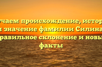 Изучаем происхождение, историю и значение фамилии Силина: правильное склонение и новые факты