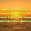 Изучаем происхождение, историю и значения фамилии Кибец: склонение в разных падежах и интересные факты
