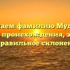 Изучаем фамилию Мудрук: история происхождения, значение и правильное склонение