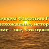 Исследуем Фамилию Гасов: происхождение, история и склонение — все, что нужно знать