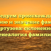 Исследуем происхождение, историю и значение фамилии Картузова: склонение и генеалогия фамилии