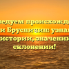 Исследуем происхождение фамилии Брусничин: узнайте все о ее истории, значении и склонении!