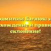 Корни фамилии Багнюк: история, происхождение и правильное склонение!