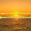 От истории до склонения: всё о фамилии Вдовкин