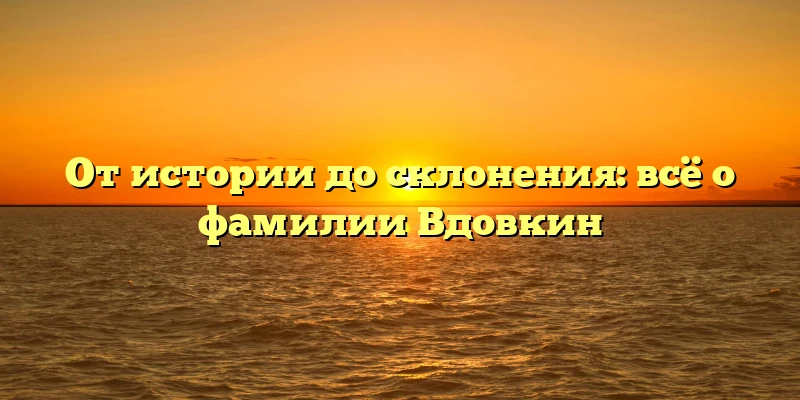 От истории до склонения: всё о фамилии Вдовкин От истории до склонения: всё о фамилии Вдовкин