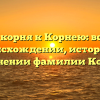 От корня к Корнею: всё о происхождении, истории и склонении фамилии Корней