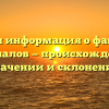 Полная информация о фамилии Джалалов — происхождении, значении и склонении