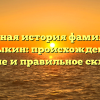 Полная история фамилии Мрыкин: происхождение, значение и правильное склонение