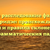 Полное расследование фамилии Патаридзе: происхождение, история и правила склонения для всех грамматических падежей