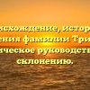 Происхождение, история и значения фамилии Тришин: практическое руководство по ее склонению.